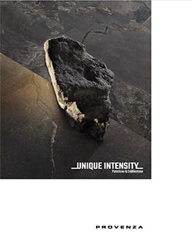 Unique Intensity Catalogue 2025.08